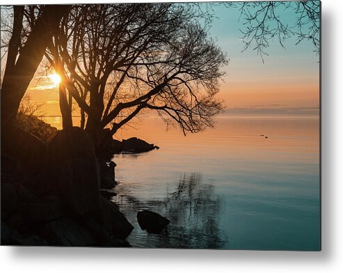 Teal And Orange Metal Print featuring the photograph Teal and Orange Morning Tranquility With Rocks and Willows by Georgia Mizuleva