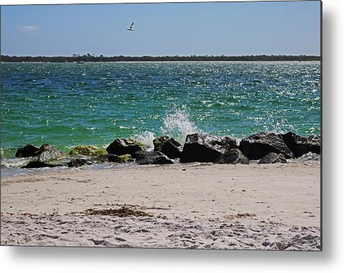 Teal Metal Print featuring the photograph Teal Rapture by Michiale Schneider