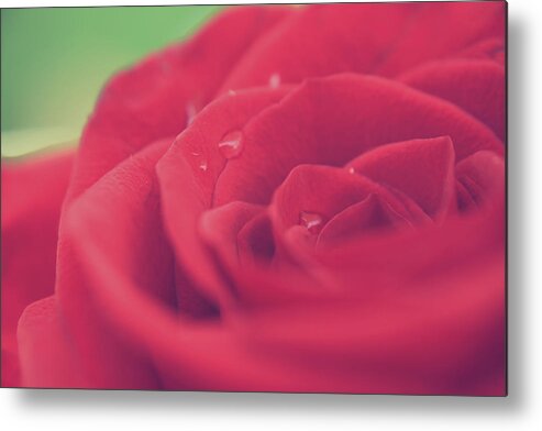 Macro Metal Print featuring the photograph Tears of Love by Laurie Search