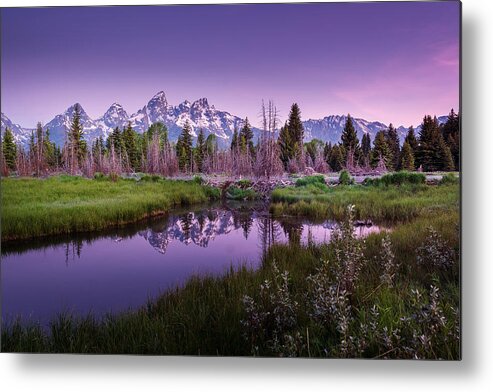 Teton Metal Print featuring the photograph Tetons in Pink by Mary Angelini