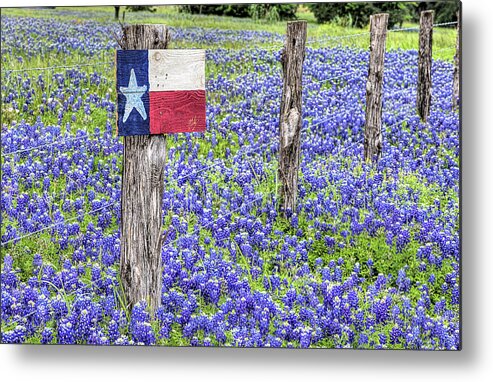 Texas Bluebonnets Metal Print featuring the photograph Texas Bluebonnets by JC Findley