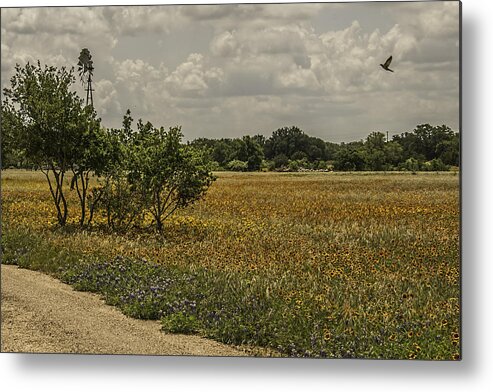 Landscape Metal Print featuring the photograph Texas Wildflowers by Peggy Blackwell