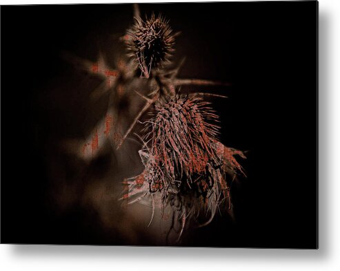 Texture Metal Print featuring the photograph Texture Flowers by Prince Andre Faubert