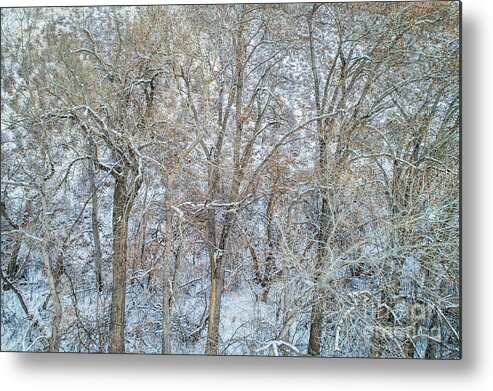 Aerial Metal Print featuring the photograph Texture Of Trees With Snow by Marek Uliasz