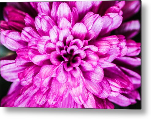 Flower Metal Print featuring the photograph The beauty of pink by Gerald Kloss