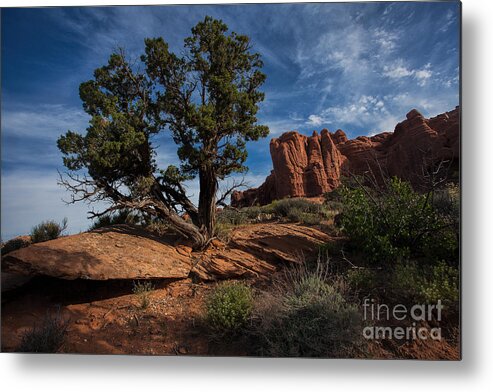 Utah Metal Print featuring the photograph The Canyon Trail by Jim Garrison