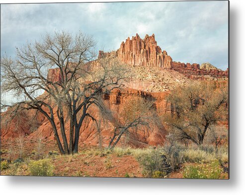 Capitol Reef Metal Print featuring the photograph The Castle, Capitol Reef National Park by Denise Bush