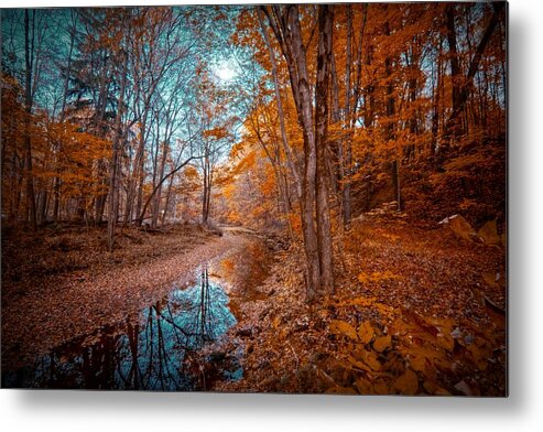  Landscapes Metal Print featuring the digital art The Color of Fall by Linda Unger