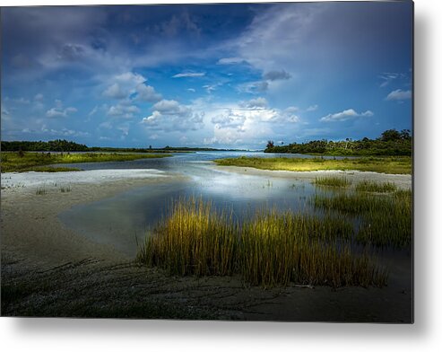 Cove Metal Print featuring the photograph The Cove by Marvin Spates