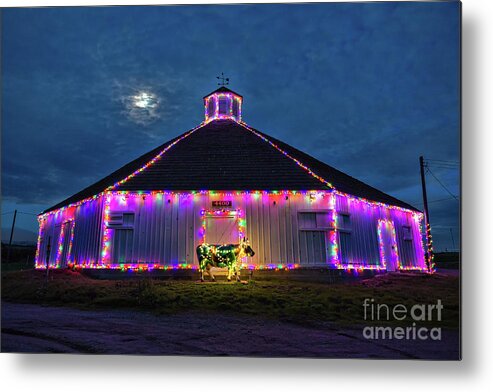 Christmas Metal Print featuring the photograph The Cow Is Out Of The Christmas Barn by Mimi Ditchie