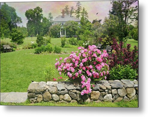 Crawford Park Metal Print featuring the photograph The East Lawn by Diana Angstadt