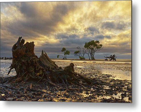 Decay Metal Print featuring the photograph The End of the World by Robert Charity