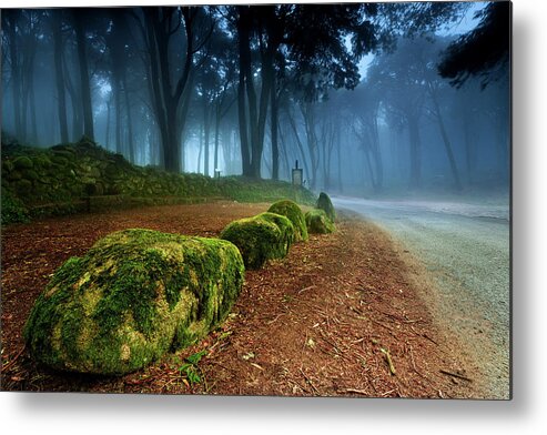 Jorgemaiaphotographer Metal Print featuring the photograph The Enlightenment by Jorge Maia