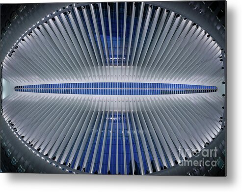 Oculus Metal Print featuring the photograph The Eye Of Oculus by Michael Ver Sprill