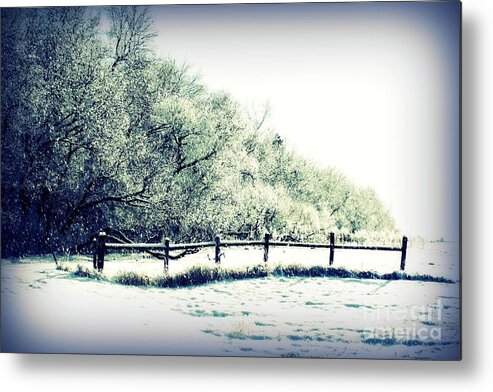 Trees Metal Print featuring the photograph The Fence by Julie Lueders 