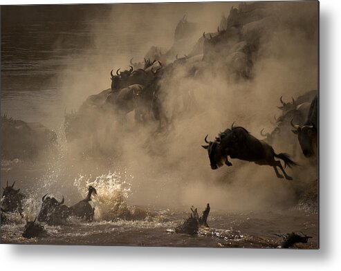 Nature Metal Print featuring the photograph The Great Wildebeest Migration by Adrian Wray