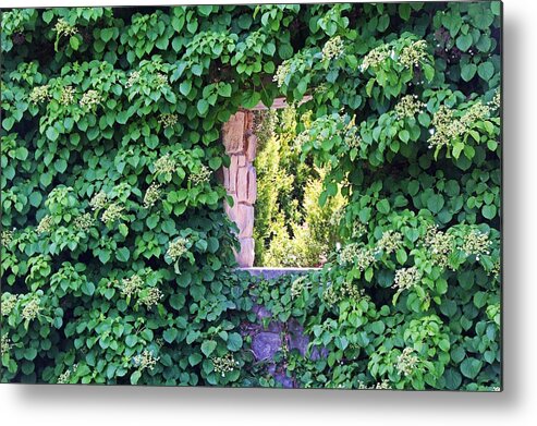 Window Metal Print featuring the photograph The Hidden Window by Michiale Schneider