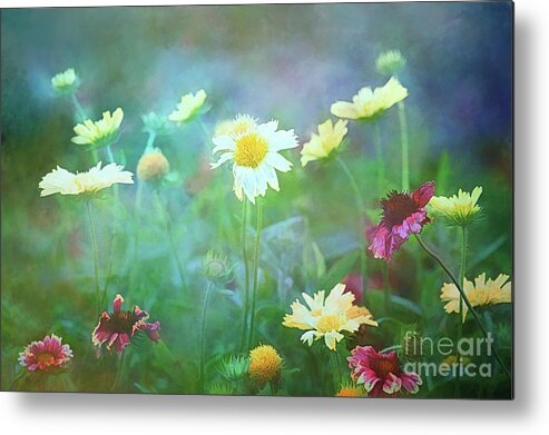 Flowers Metal Print featuring the photograph The Joy of Summer Flowers by Anita Pollak