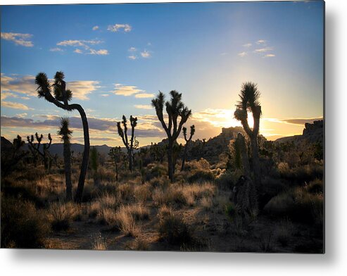 Joshua Tree National Park Metal Print featuring the photograph The Last Time I Touched You by Laurie Search