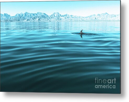 Dolphin Metal Print featuring the photograph The Liquid Wilderness by Becqi Sherman