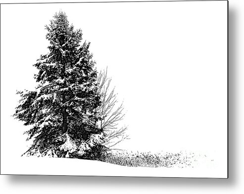Door County Wisconsin Landscape Metal Print featuring the photograph The Lone Pine by Jim Rossol