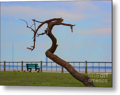 Tree Metal Print featuring the photograph The Lone Tree by Roberta Byram