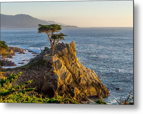 Pebble Beach Metal Print featuring the photograph The Lonely Cypress by Derek Dean