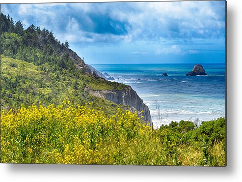 Scenic Metal Print featuring the photograph The Lost Coast by AJ Schibig