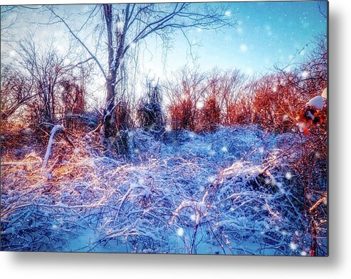 Magic Of Winter Metal Print featuring the mixed media The Magic of Winter 2 by Lilia S