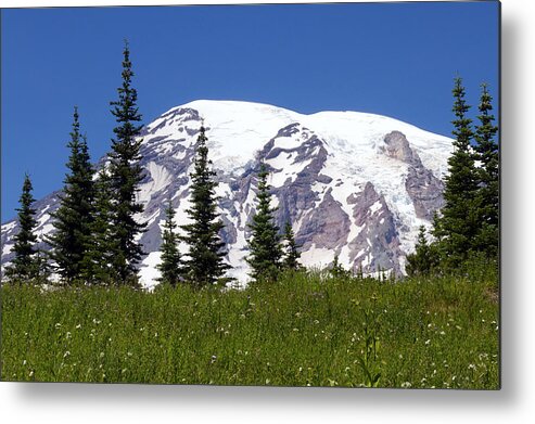 Landscape Metal Print featuring the photograph The Mountain in Summer by Emerita Wheeling