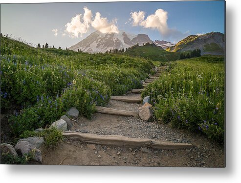 Mount Rainier Metal Print featuring the photograph The Next Step by Kristopher Schoenleber
