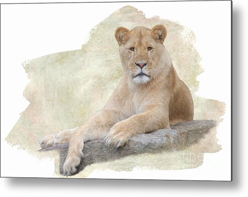 Lion Metal Print featuring the digital art The Observer by Jayne Carney