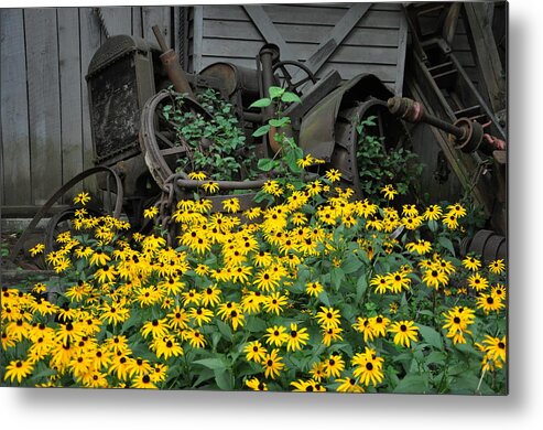 Floral Metal Print featuring the photograph The Old And New by Jan Amiss Photography