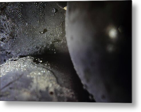 Grape Metal Print featuring the photograph The Orgic Alignment by Kreddible Trout