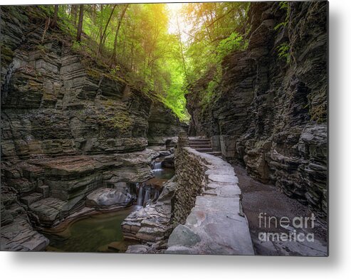 Watkins Glen State Park Metal Print featuring the photograph The Path at Watkins Glen by Michael Ver Sprill