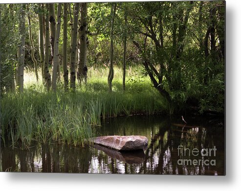Rock Metal Print featuring the photograph The Pond by Brandon Bonafede