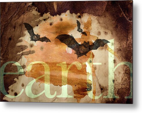 Bats Metal Print featuring the photograph The Potency of Acceptance by Char Szabo-Perricelli
