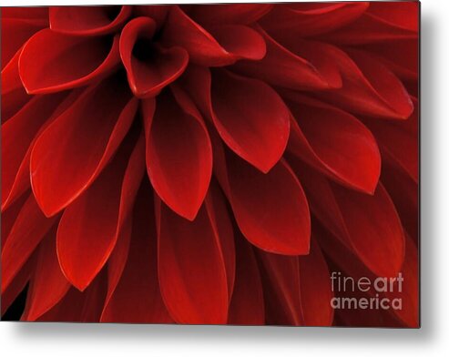 Red Metal Print featuring the photograph The Reddest Red by Patricia Strand