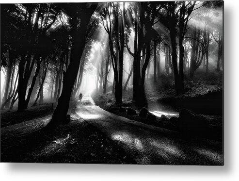 Sintra Metal Print featuring the photograph The rider by Jorge Maia