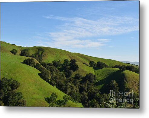Landscape Metal Print featuring the photograph The Ridge by Suzanne Leonard