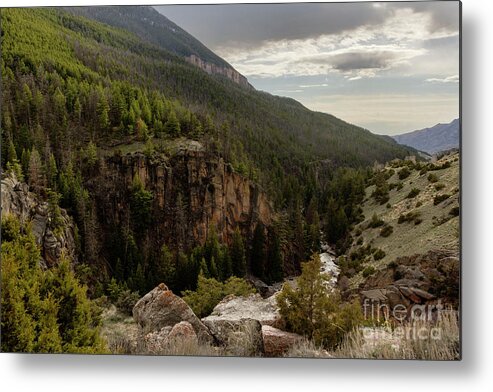 Nature Metal Print featuring the photograph The River Below by Steve Triplett