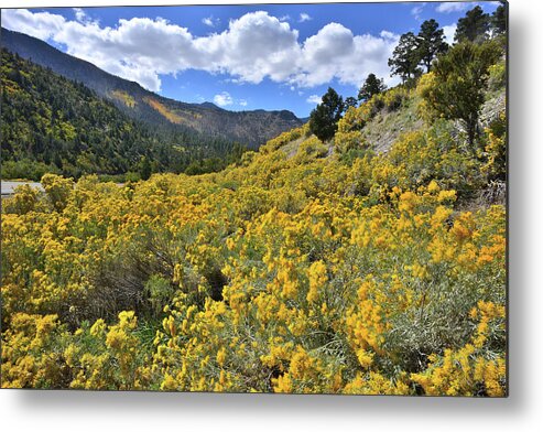 Nevada Metal Print featuring the photograph The Road to Mt. Charleston by Ray Mathis