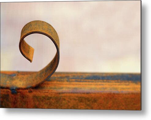Minimal Metal Print featuring the photograph The Rusted Curl Colored Version by Prakash Ghai