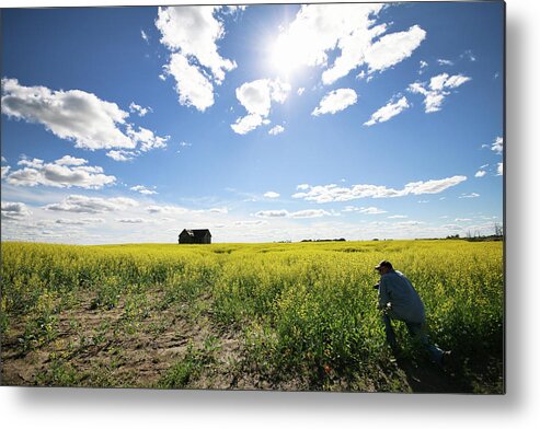 Canola Metal Print featuring the photograph The Saskatchewan Prairies by Ryan Crouse