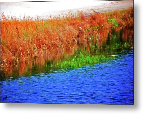Shore Metal Print featuring the photograph The Shore by Gina O'Brien