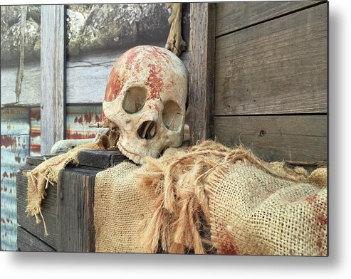 Skull Metal Print featuring the photograph The Skull Bone by Art Block Collections