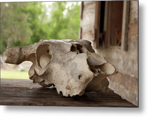 George Ranch Metal Print featuring the photograph The Skull by James Woody