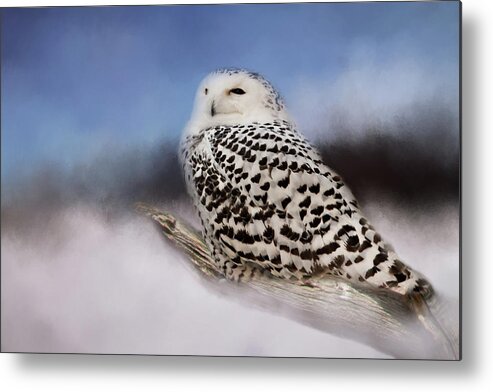 Animal Metal Print featuring the photograph The Snowy Owl by Lana Trussell