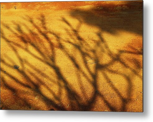 Nature Metal Print featuring the photograph The Soundlessness of Nature by Prakash Ghai