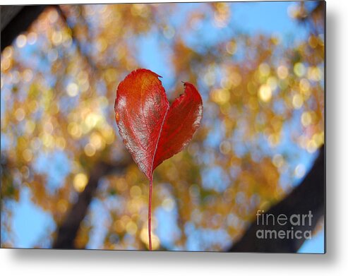 Heart Metal Print featuring the photograph The Splendor of Fall by Debra Thompson